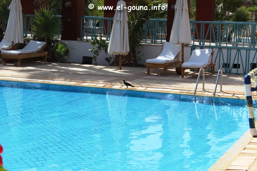 Hotel Sheraton Miramar Resort El Gouna 2025